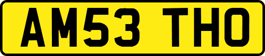 AM53THO