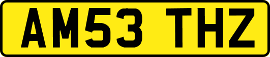 AM53THZ