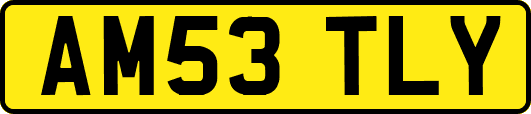 AM53TLY