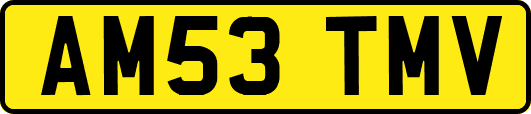AM53TMV