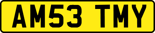 AM53TMY