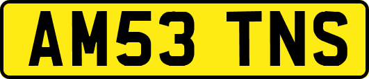 AM53TNS