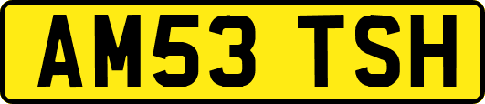 AM53TSH