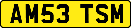 AM53TSM