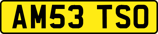 AM53TSO