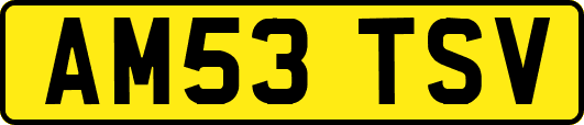AM53TSV