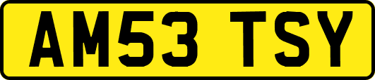 AM53TSY