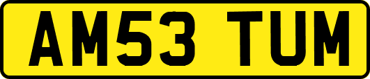 AM53TUM