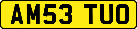 AM53TUO