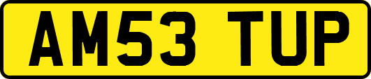 AM53TUP