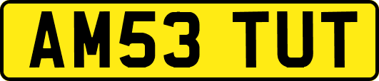 AM53TUT