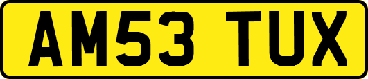 AM53TUX