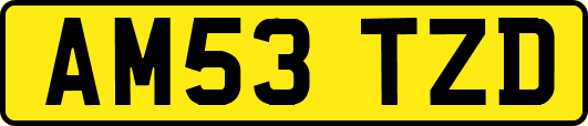 AM53TZD