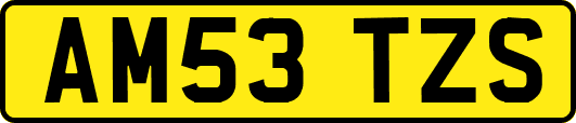 AM53TZS