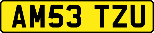 AM53TZU