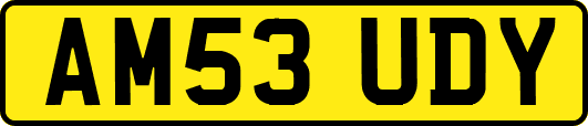 AM53UDY