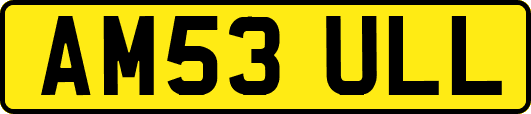AM53ULL