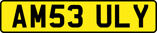 AM53ULY