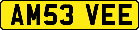 AM53VEE