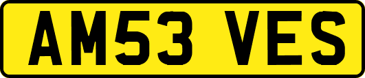 AM53VES