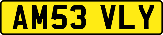 AM53VLY