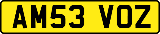 AM53VOZ