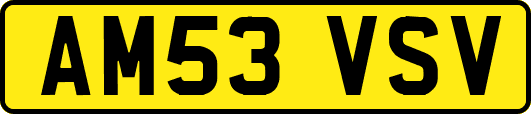AM53VSV