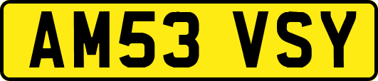 AM53VSY