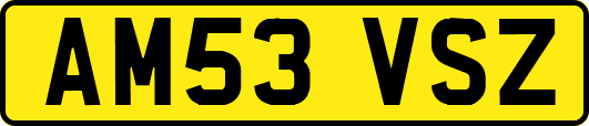 AM53VSZ