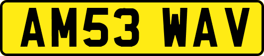 AM53WAV