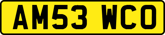 AM53WCO