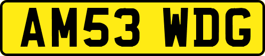 AM53WDG