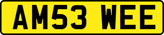 AM53WEE