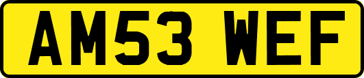 AM53WEF
