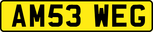 AM53WEG