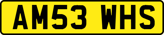 AM53WHS