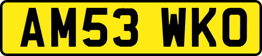 AM53WKO