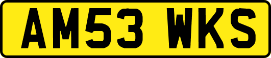 AM53WKS