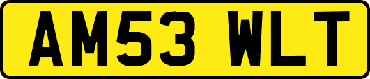 AM53WLT