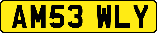 AM53WLY