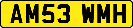 AM53WMH