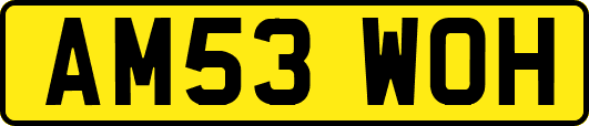 AM53WOH