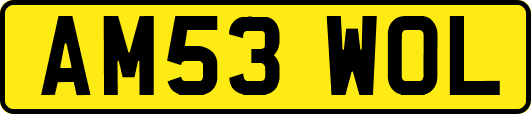 AM53WOL