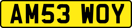 AM53WOY