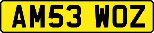 AM53WOZ