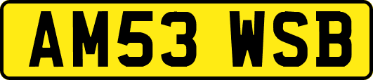 AM53WSB