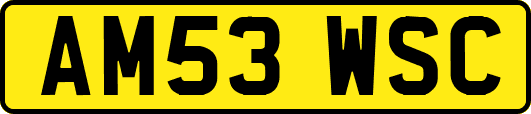 AM53WSC