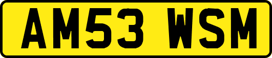 AM53WSM