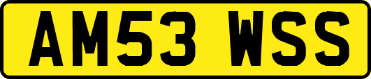 AM53WSS
