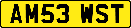 AM53WST